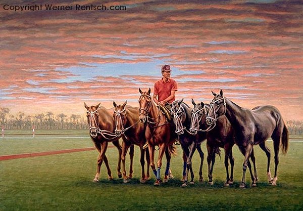 Equine Artist Werner Rentsch | Polo Art | Art Paintings